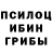 Галлюциногенные грибы мицелий lana jijelava