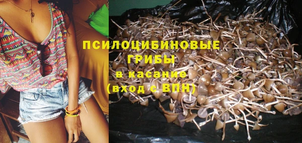 spice Володарск
