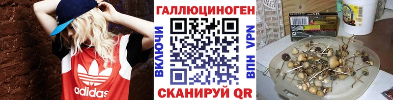 Галлюциногенные грибы мицелий цена наркотик Сургут